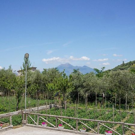 Casa Fiorita Bed & Breakfast Gragnano Exterior photo
